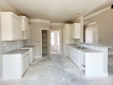 1816 Masquerade Blvd, Odessa, TX 79765 - photo 4