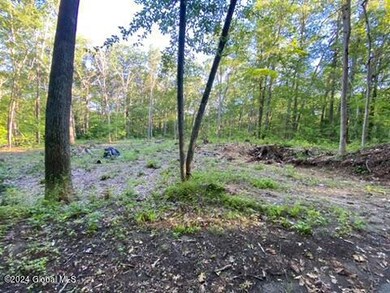 UNADJUSTEDNONRAW_mini_5d29