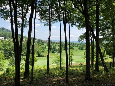 2020 Song Breeze Trail unit LOT 146, Arden, NC 28704 - photo 5