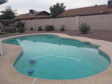 Laurie Ln full pool back fence