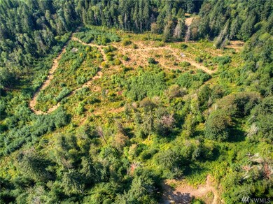 0 256th St E, Graham, WA 98338 - photo 2