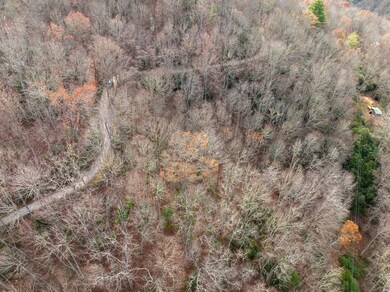 Lot 5 Mt Tabor, Franklin, NC 28781 - photo 5