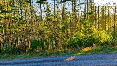 18 Davis Acres Dr, West Jefferson, NC 28694 - photo 4