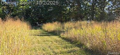 0 Hinchey Rd, Pinckney, MI 48169 - photo 3