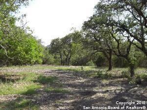 24705 Clearwater Run, San Antonio, TX 78255 - photo 5