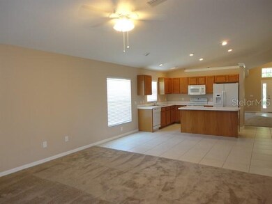 13417 Fladgate Mark Dr, Riverview, FL 33579 - photo 5