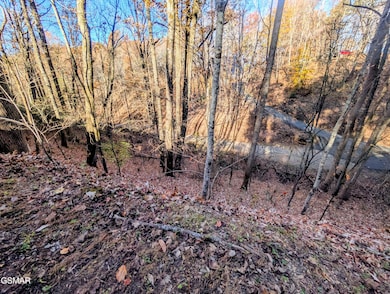 Lot 194A Ski View Ln, Sevierville, TN 37876 - photo 2