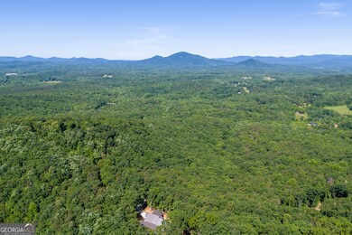 5012 Alec Mountain Rd, Clarkesville, GA 30523 - photo 6