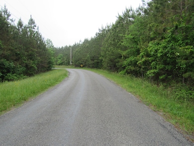 00 Butler Branch Rd, Arley, AL 35541 - photo 2