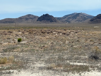 82020 S 8000 W, Grouse Creek, UT 84313 - photo 3