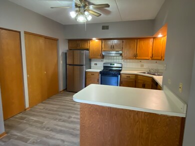 1105 E Division St unit 1B, Lockport, IL 60441 - photo 4