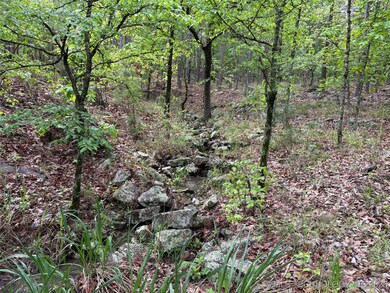 003 E Bolen Hollow W, Pittsburg, OK 74560 - photo 5