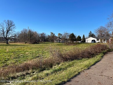 315 Hamman Dr, Eaton Rapids, MI 48827 - photo 4