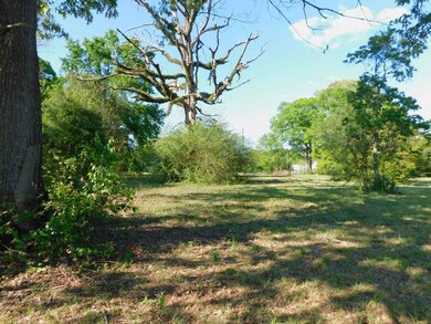 24413 Fifth Ave, Florala, AL 36442 - photo 3