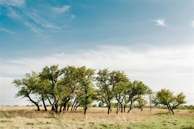 TBD 55 Latigo Way, Weatherford, TX 76088 - photo 5