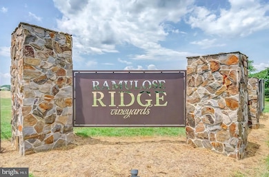 3061 Hendricks Store Rd, Moneta, VA 24121 - photo 3