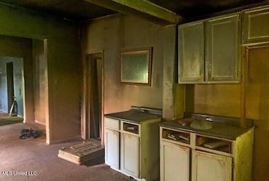 42 Claiborne St, Natchez, MS 39120 - photo 3