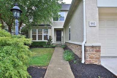 Beautiful professional landscaping