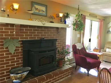 Dining/Living Pellet Stove