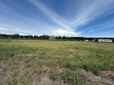 TBD Cr 119, Florence, CO 81226 - photo 4