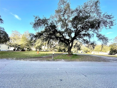 14820 N 15th St, Lutz, FL 33549 - photo 2