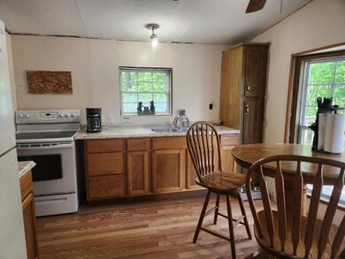 2524 W Wilderness Way, Baldwin, MI 49304 - photo 7