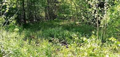 just inside the property