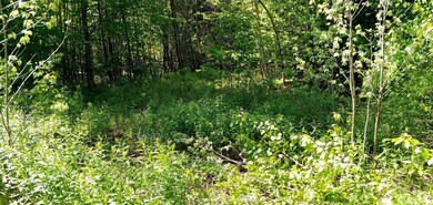 just inside the property