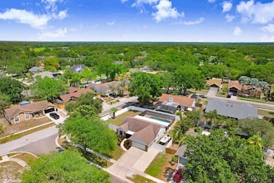 Ariel View