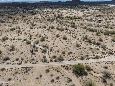 0 S Rd unit 55 6894312, Maricopa, AZ 85139 - photo 6