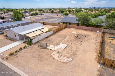 8 - Javelina