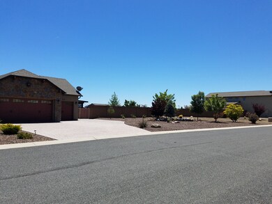 South side yard front