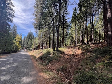 646 Dean Way, Arnold, CA 95223 - photo 2