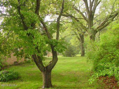 Side yard