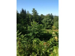 00 Spring Hill Rd, Moultonborough, NH 03254 - photo 5