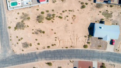 Birdseye