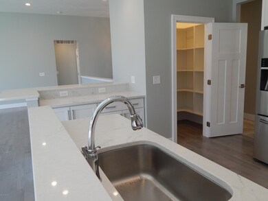 10947 Country Grove Cir, Portage, MI 49024 - photo 6