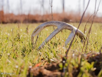 2 Highway 25 Hwy, Flowood, MS 39047 - photo 2