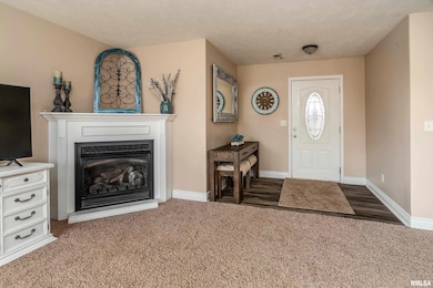 15951 Forcade Ln, Marion, IL 62959 - photo 6