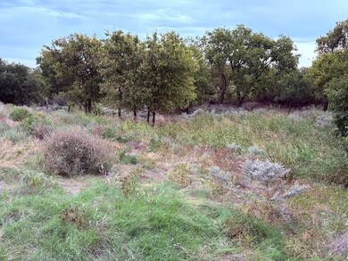 N176 E145, Vinson, OK 73571 - photo 5