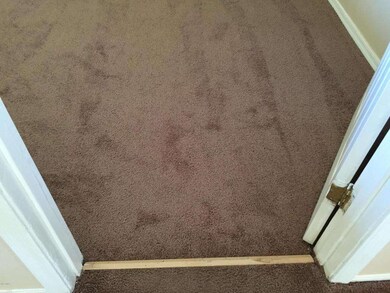 NEWER CARPET I