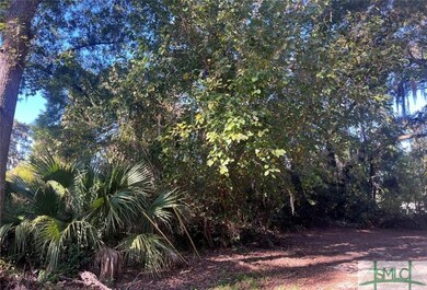 0 Furber Ave unit 328119, Savannah, GA 31404 - photo 3