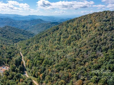 000 Simms Fork Rd, Burnsville, NC 28714 - photo 4