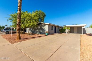 1339 N Dakota St, Chandler, AZ 85225 - photo 3