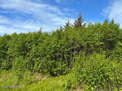 thumbnail_IMG_1704
