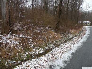 7694 Sheldon Rd, Dover, NY 12594 - photo 3