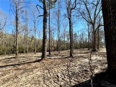 4 Acres Rob Thomas Rd, Franklinton, LA 70438 - photo 4