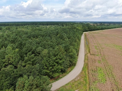 Overview of rural landscape with extensive farmland