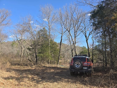 0000 W Howlite Loop, Leguire, OK 74944 - photo 5