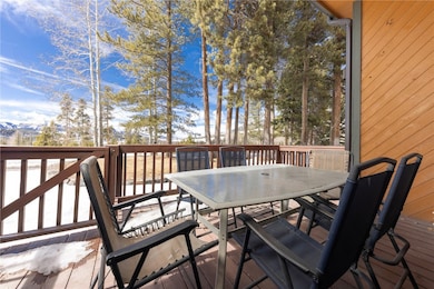 27 Tally Ho Ct unit 106, Dillon, CO 80435 - photo 6